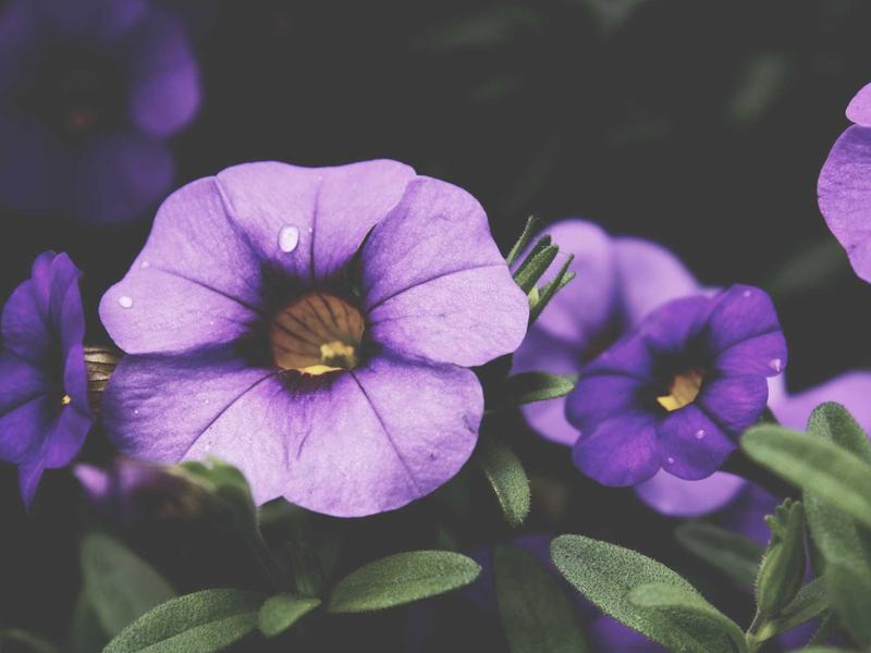 sudoku full version screenshot 2