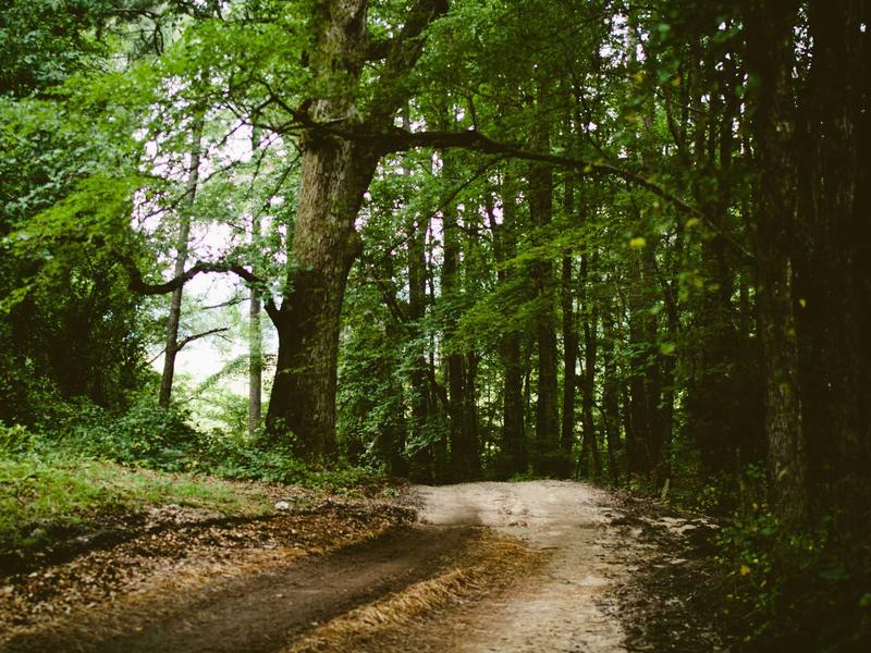 sudoku bifurcation screenshot 5